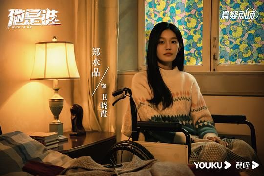 《他是谁》全集电视剧(完整观看版)在线(手机版)已更免费