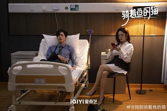 【骑着鱼的猫】全集(完整观看版)在线【1080 p高清】