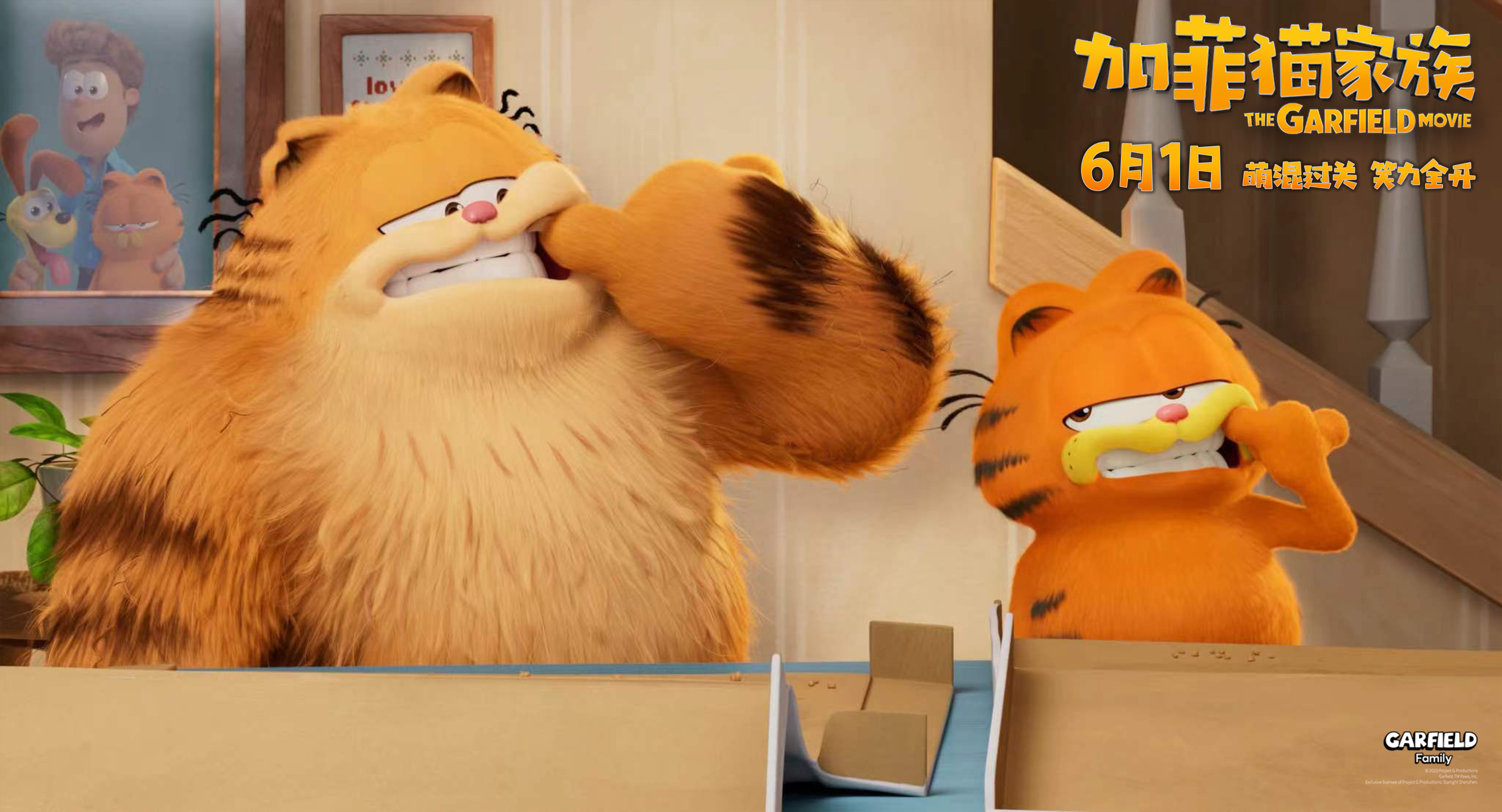 加菲猫家族来了！6月1日国内上映，萌翻天的大小加菲猫三连击